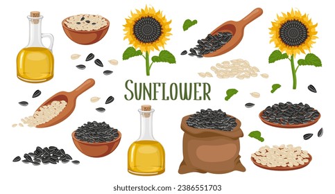 Sunflower set. Sunflower oil, sunflower plant, seeds in a canvas bag, wooden spoon and bowl. Agriculture, food. Vector