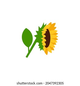 Sunflower side view vector illustration isolated on white background