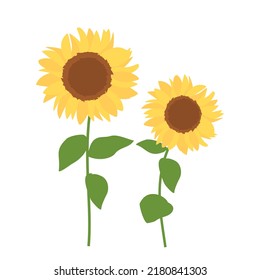 Sunflower sign logo isolated on white background vector illustration. Nature art wall decoration.