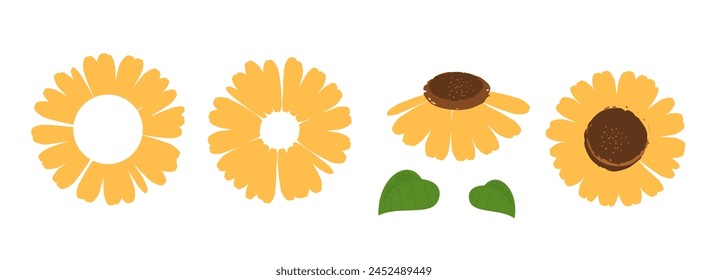 Conjunto de logotipo de signo de girasol aislado en Vector de fondo blanco.