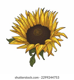 marco de silueta de girasol aislado sobre fondo blanco. Símbolos ucranianos. El color claro brillante es perfecto para patrones, pancartas, camisetas y sitios web. Imagen de un hermoso vector de girasol para