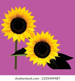 Sunflower Silhouette Vector Art Icons.