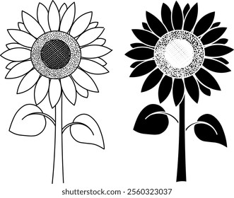 sunflower simple black and white drawing