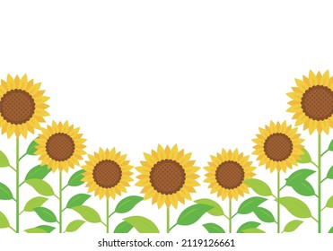 Sonnenblumen, einfacher Rahmen (Sommerblumen)