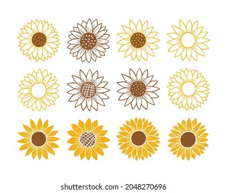 Conjunto de iconos sencillos de girasol. Ilustración vectorial de silueta de flores. Colección de logotipo gráfico de girasol, icono dibujado a mano para empaque, decoración. Marco de Petals, silueta negra aislada sobre fondo blanco.