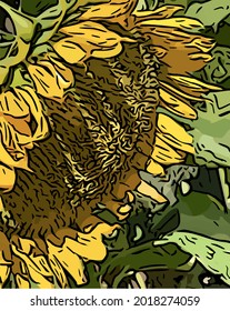 Sunflower single close up outside in the garden cartoon outlines
