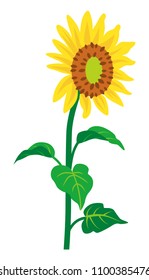 Sunflower -single object