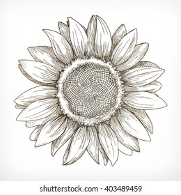 Sunflower Drawing Images Stock Photos Vectors Shutterstock