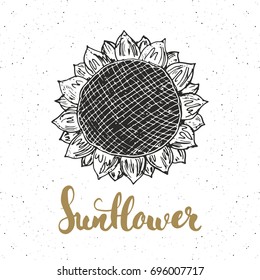 Sunflower sketch with lettering, Vintage label, Hand drawn grunge textured badge, retro logo template, typography design vector illustration.