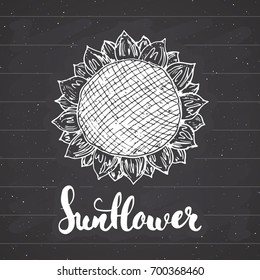 Sunflower sketch with lettering, Vintage label, Hand drawn grunge textured badge, retro logo template, typography design vector illustration on chalkboard background.