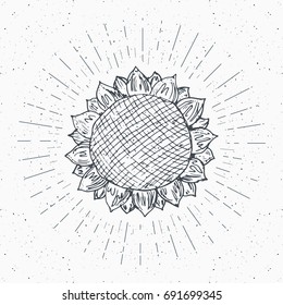 Sunflower sketch, Vintage label, Hand drawn grunge textured badge, retro logo template, typography design vector illustration.