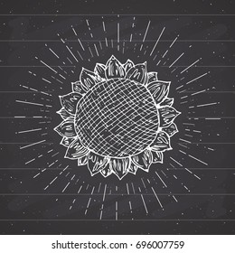 Sunflower sketch, Vintage label, Hand drawn grunge textured badge, retro logo template, typography design vector illustration on chalkboard background.
