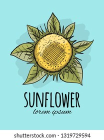 Sunflower, sketch for your design