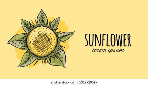 Sunflower, sketch for your design