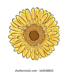 Sunflower sketch for your design
