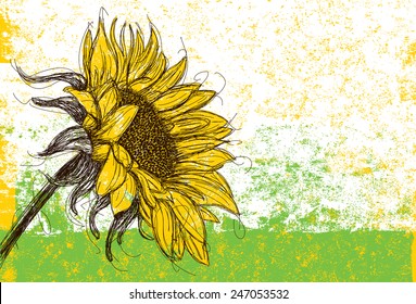 Sunflower Sketchy sunflower over an abstract background. The artwork and background are on separately labeled layers.