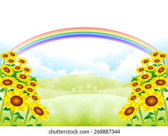 Sunflower sky background