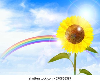 Sunflower sky background