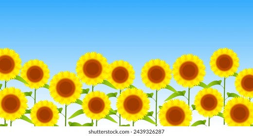 Sunflower Sky Flower Landscape Background