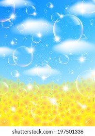Sunflower sky landscape