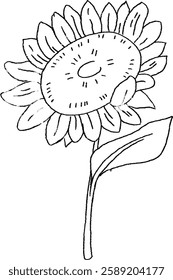 sunflower with soft petals and fresh spring vibes.