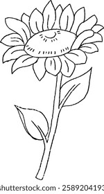 sunflower with soft petals and fresh spring vibes.