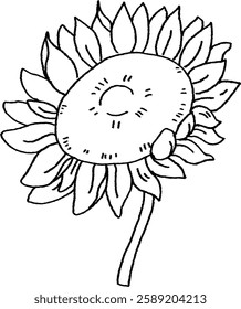 sunflower with soft petals and fresh spring vibes.