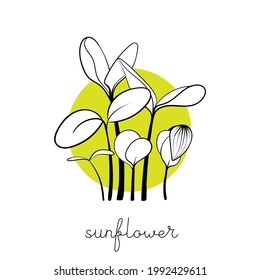 El girasol brota sobre el fondo del círculo Microboceto verde ilustración vectorial. Verde para la jardinería doméstica.