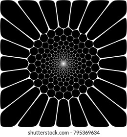 Sunflower in square. Black and White. Voronoi tool.