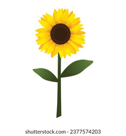 Sunflower with stalk vector illustration