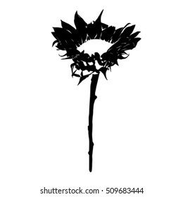 Sunflower stencil silhouette isolated on white