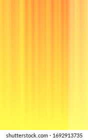 Sunflower summer flower Sunflower summer flower background background