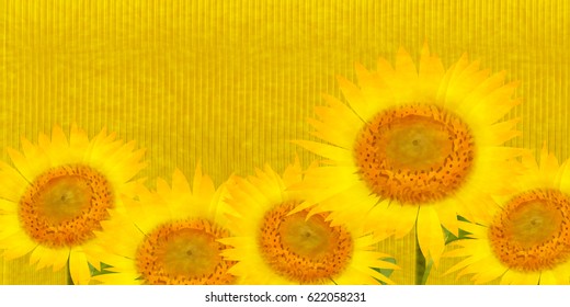 Sunflower summer flower background