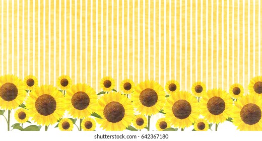 Sunflower summer flower background
