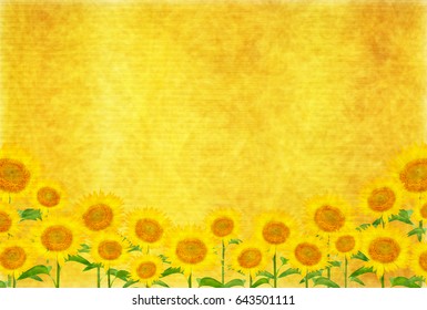 Sunflower summer flower background