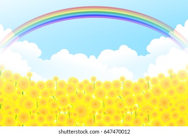 Sunflower summer flower background