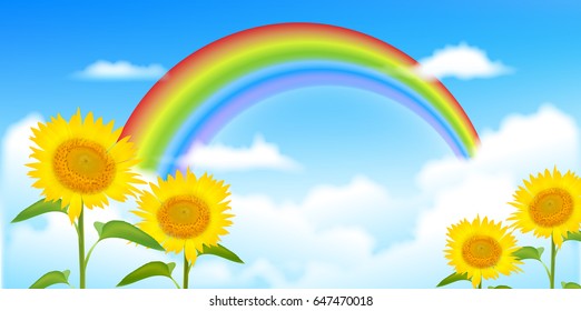 Sunflower summer flower background