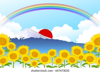 Sunflower summer flower background