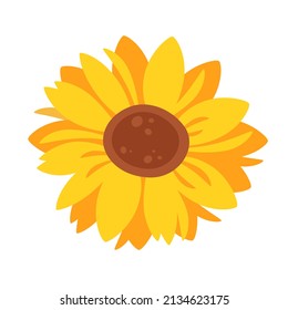 Sunflower, summer flower. Vector illustration