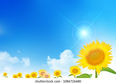 Sunflower summer Summer greeting card background