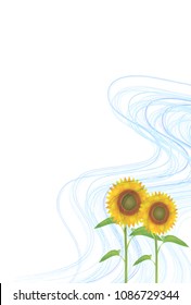 Sunflower summer Summer greeting card background