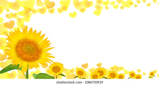 Sunflower Summer Heart Background