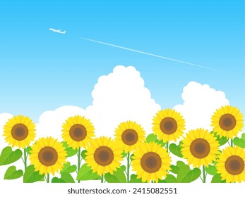 Sunflower summer image background vector illustration