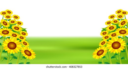 Sunflower summer landscape background