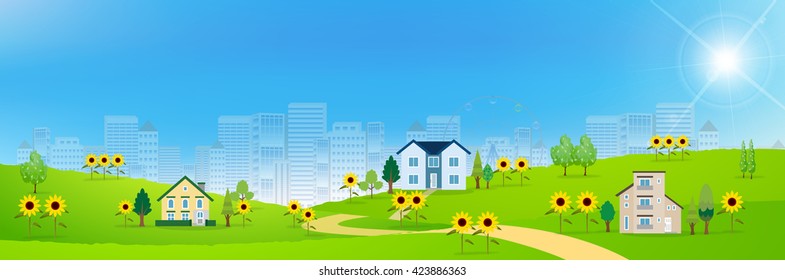 Sunflower summer landscape background