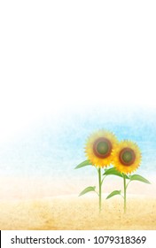 Sunflower summer scenery background
