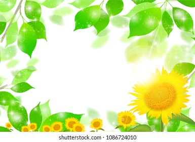Sunflower summer scenery background