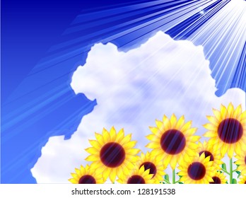 Sunflower summer sky background