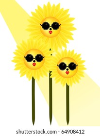 Sunflower in sunshine
