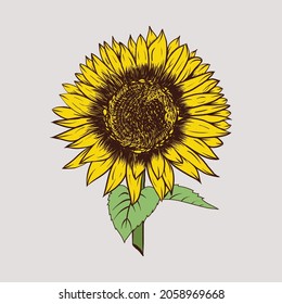Sunflower Sunshine Hand Drawing Retro Vector Silhouette Image